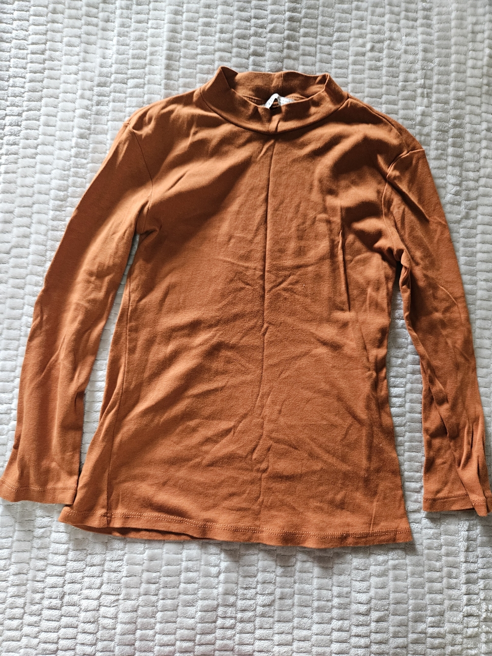 Zara Long Sleeve Mock Neck Top - Burnt Orange